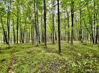 Tbd Swede Settlement Rd, Vulcan, MI 49892