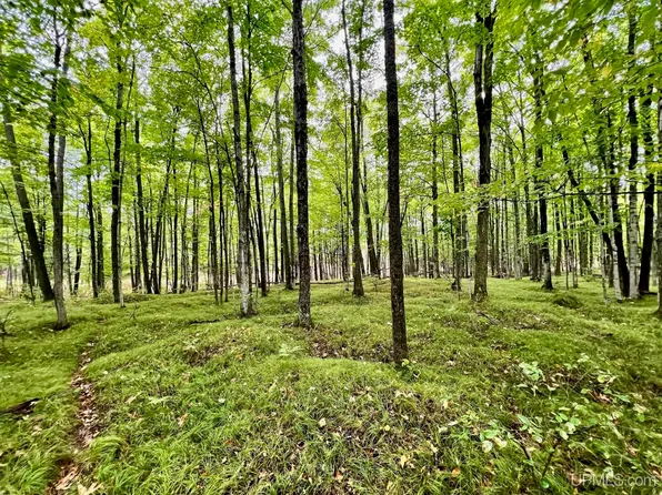 Tbd Swede Settlement Rd, Vulcan, MI 49892