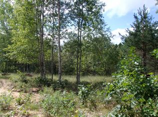 0 Wadowski Park Dr, Lake, MI 48632