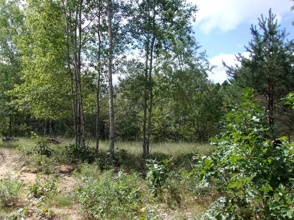 0 Wadowski Park Dr, Lake, MI 48632