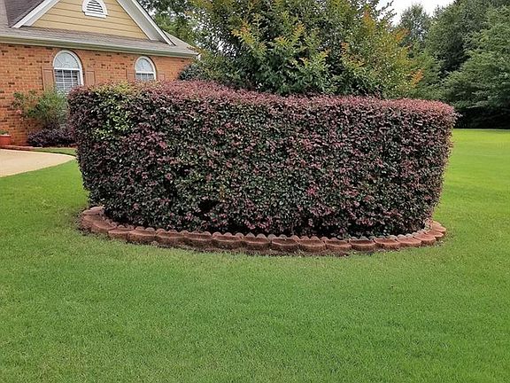 3rd image of 2506 Tiffany Ct SE