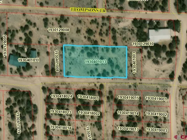 953 Hubbards Trail, South Fork, CO 81154