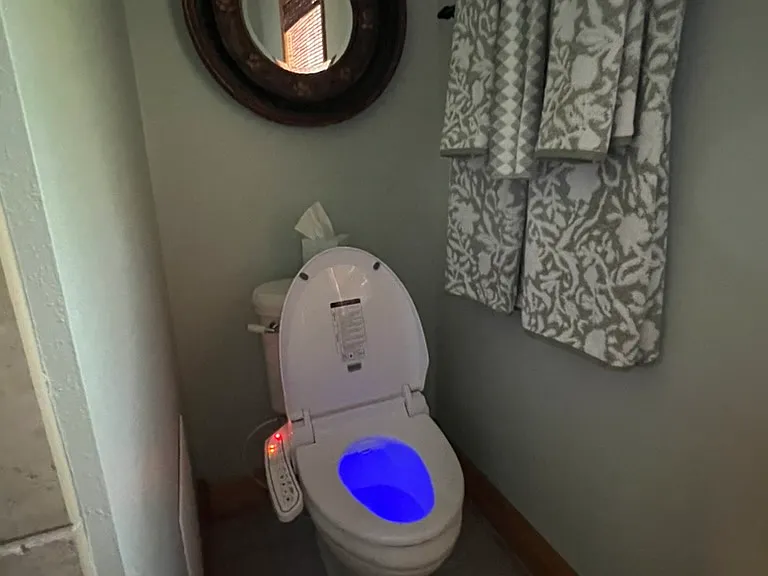 Bidet toilet. Self cleaning with ultraviolet germicidal irradiation (UV-C light).