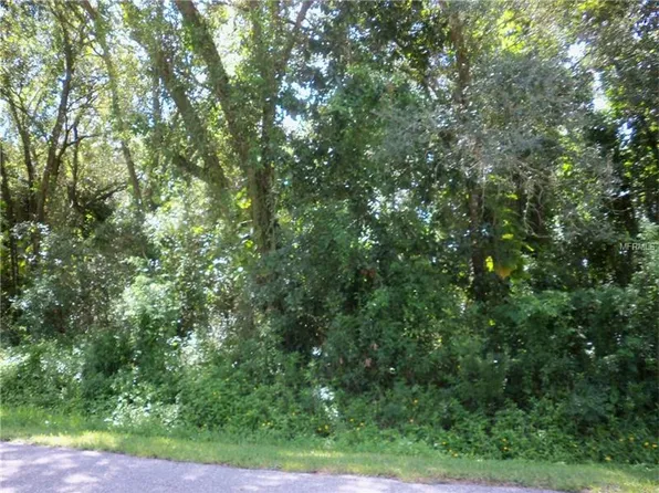 1785 SE Tangelo Dr, Arcadia, FL 34266