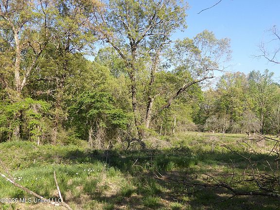 2nd image of 4269 Laws Hill Rd