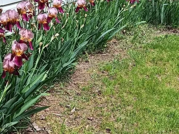 9140 W 50 N, Angola, IN 46703