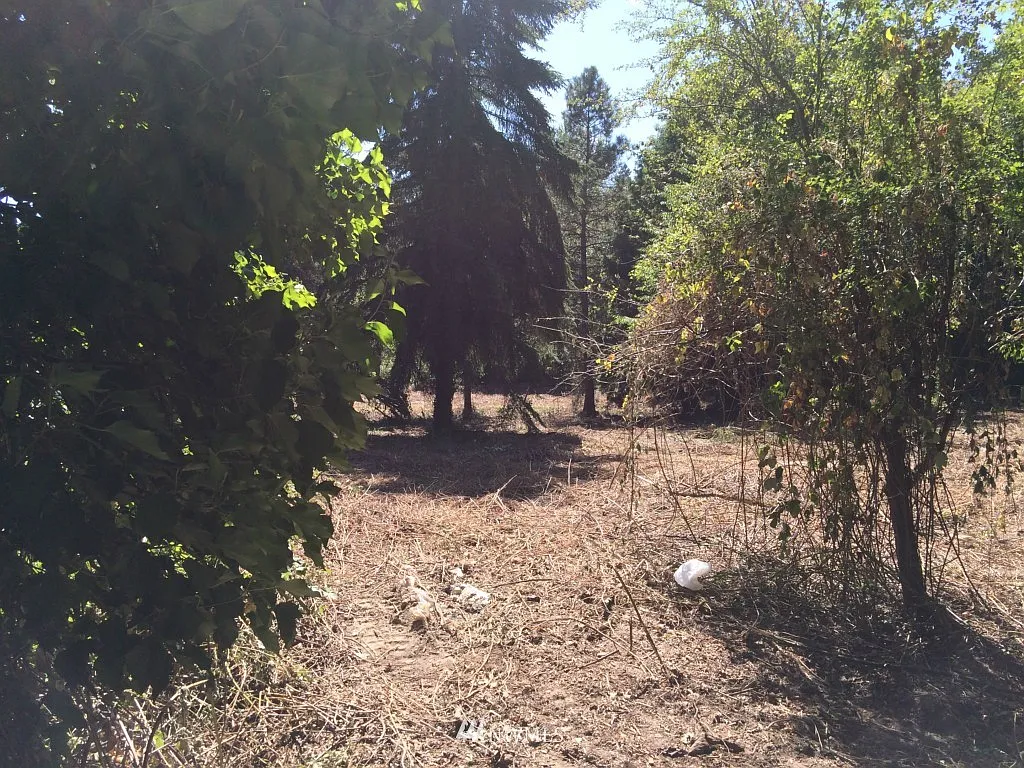 1204 West Valley Hwy photo 1