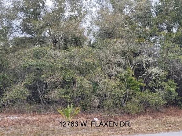 12763 W Flaxen Dr, Crystal River, FL 34428