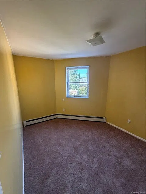 2 bed, 1.0 bath, 2985 sqft, $2,500 — Photo 3