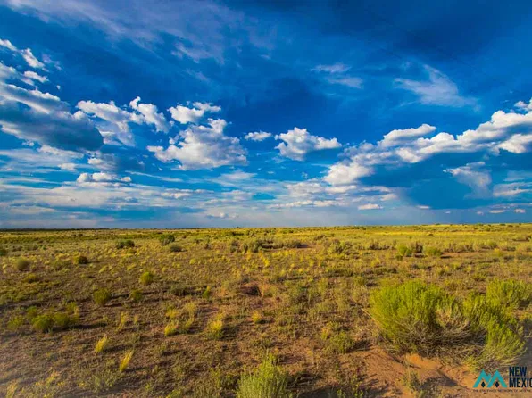 0 Avenue 20, Vanderwagen, NM 87326