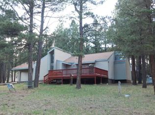 18 Woodlands Dr, Angel Fire, NM 87710