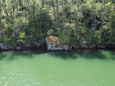 59 Sipsey Overlook Rd, Double Springs, AL, 35553