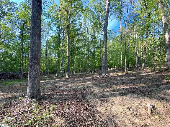 5th image of 560 Carousel Rd