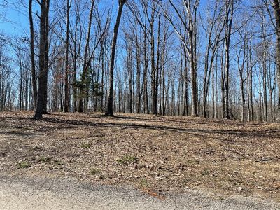 131 Shelton Cemetery Rd Lot 6, Cumberland Furnace, TN, 37051