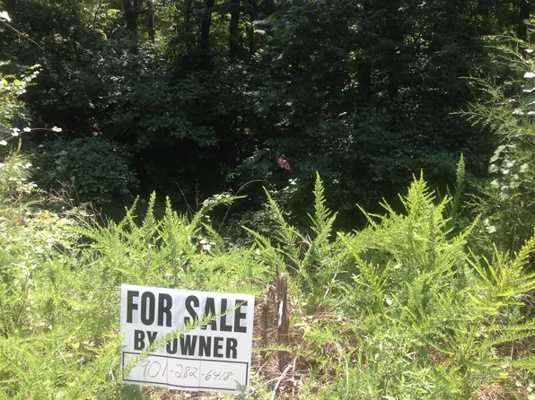 1155 Edgewood Dr, Saulsbury, TN 38067