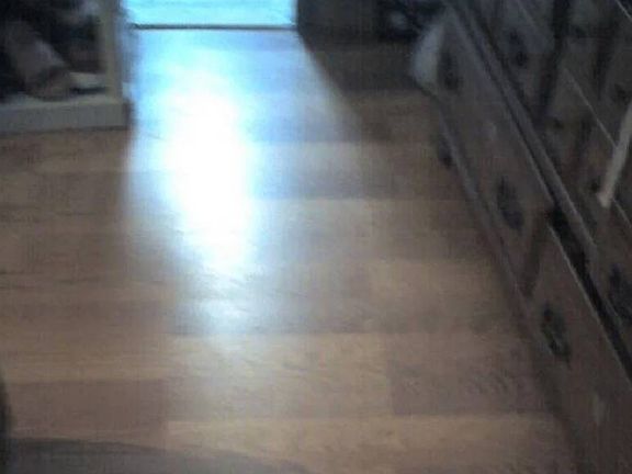 5th image of 7501 142nd Ave #559