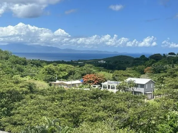 15 BIRD'S NEST STUDIOS, VIEQUES, PR 00765