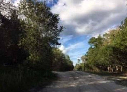 2nd image of 32765 Blackwater Oaks Dr