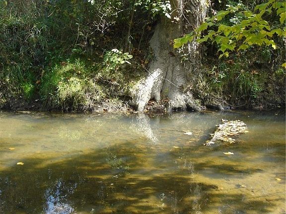4th image of Brigden Mesopotamia