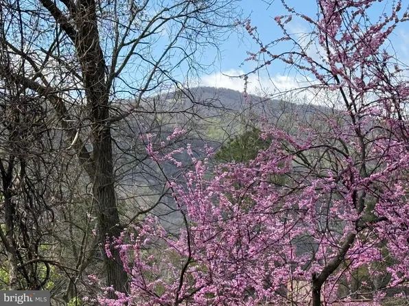 13 Jonathan Rd, Linden, VA 22642