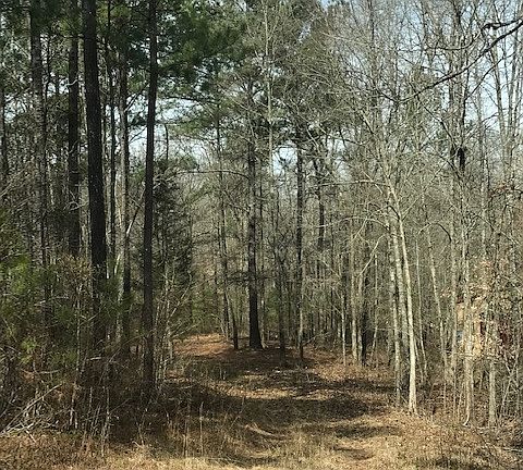 3rd image of 1090 Indian Creek Trl