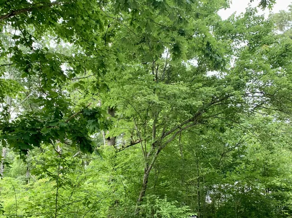 0 General Lee Dr Lot 65, Beechgrove, TN 37018