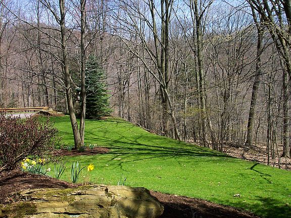 side yard