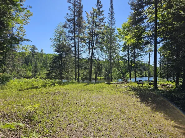 7735 Riverbend Dr, Onaway, MI 49765