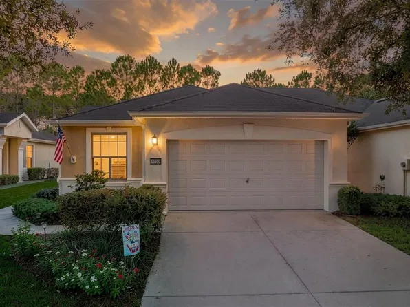 6630 SW 91ST CIRCLE, OCALA, FL 34481