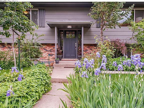 Gorgeous front walk way with mature perennials