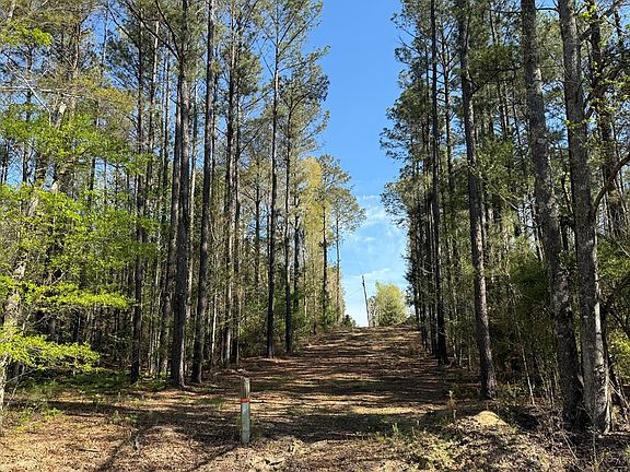 5th image of 0 County Road 2