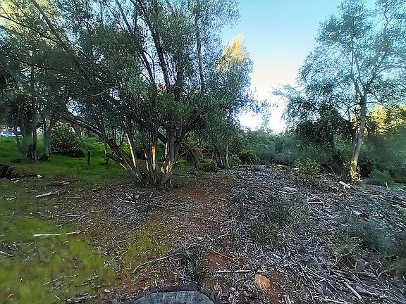 Gentle slope on 4622 Kaweah Rd
