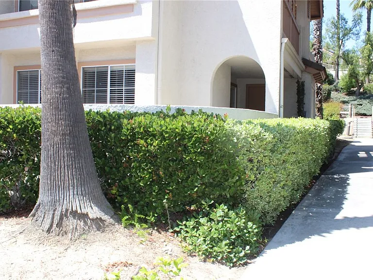 24341 Conejo #1 — Photo 2