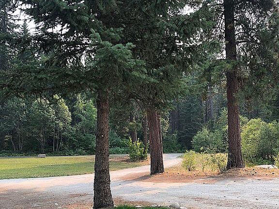 5th image of 93 Jack Pine Ln