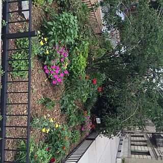 3rd image of 530 Manhattan Ave APT 24