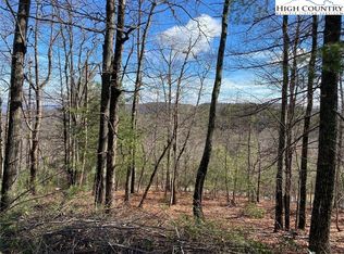 49 Elk Horn Rd, Ferguson, NC 28624