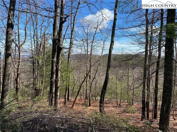 49 Elk Horn Road, Ferguson, NC 28624