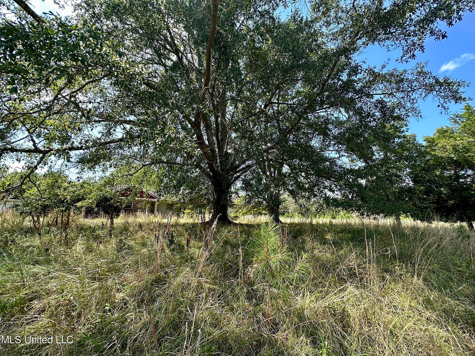 1101 Highway 413, Kilmichael, MS 39747 Zillow