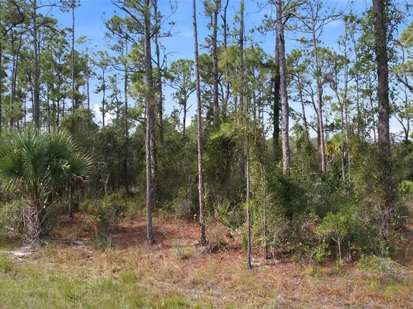Einstein St Lot 5, North Pt, FL 34291