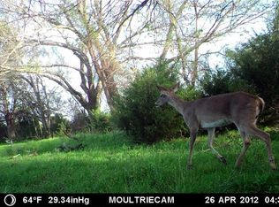 161 Tejas Ranch Rd, Whitewright, TX 75491