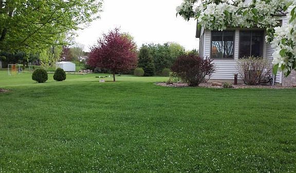 Sunroom overlooks lush yard