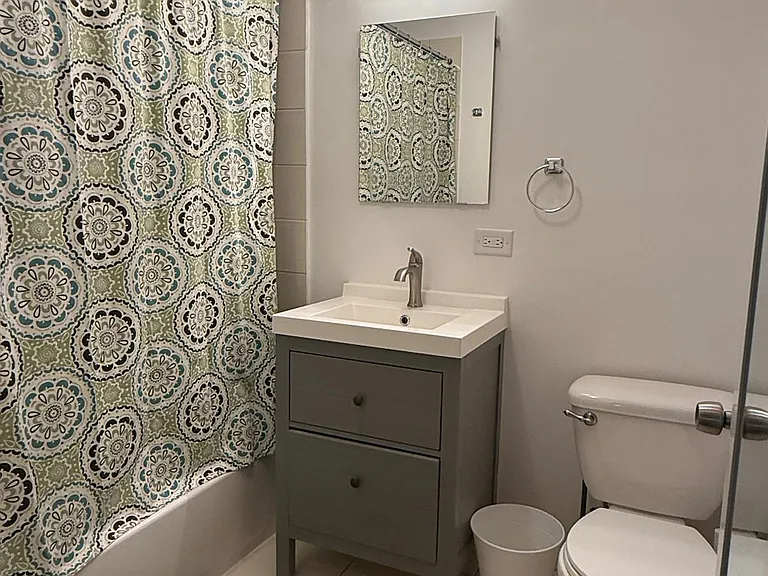 1708 S Carpenter St #2R — Photo 9