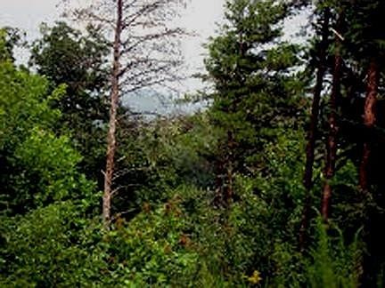 1st image of 0 Indian Ridge Dr