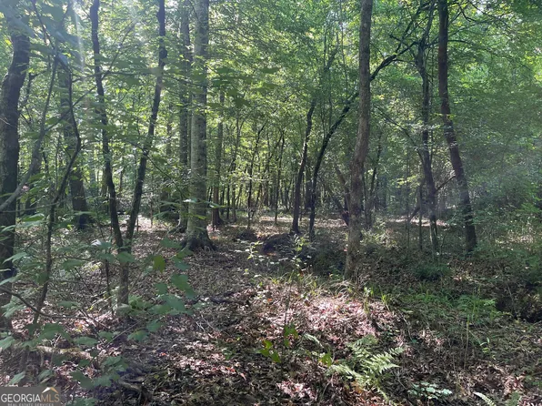 0 Bevis Rd Lot 6, Franklin, GA 30217