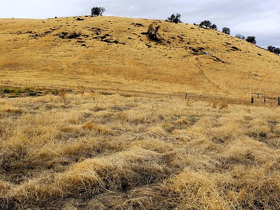 4th image of 16819 Deer Creek Drive