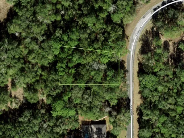 11308 N Fuego Dr, Citrus Springs, FL 34434