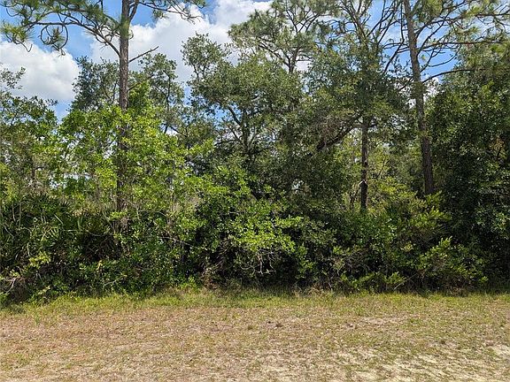 2nd image of 716 ORCHID DRIVE LOT 8
