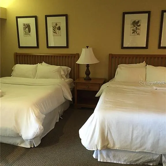 36750 US Highway 19 N #2879 — Photo 10