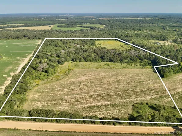 Dillard Rd, Pansey, AL 36370