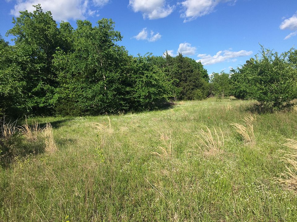 photograss.JPG
